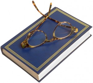 Novel